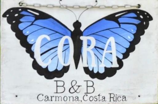 Casa Cora Bed And Breakfast Carmona Экстерьер фото