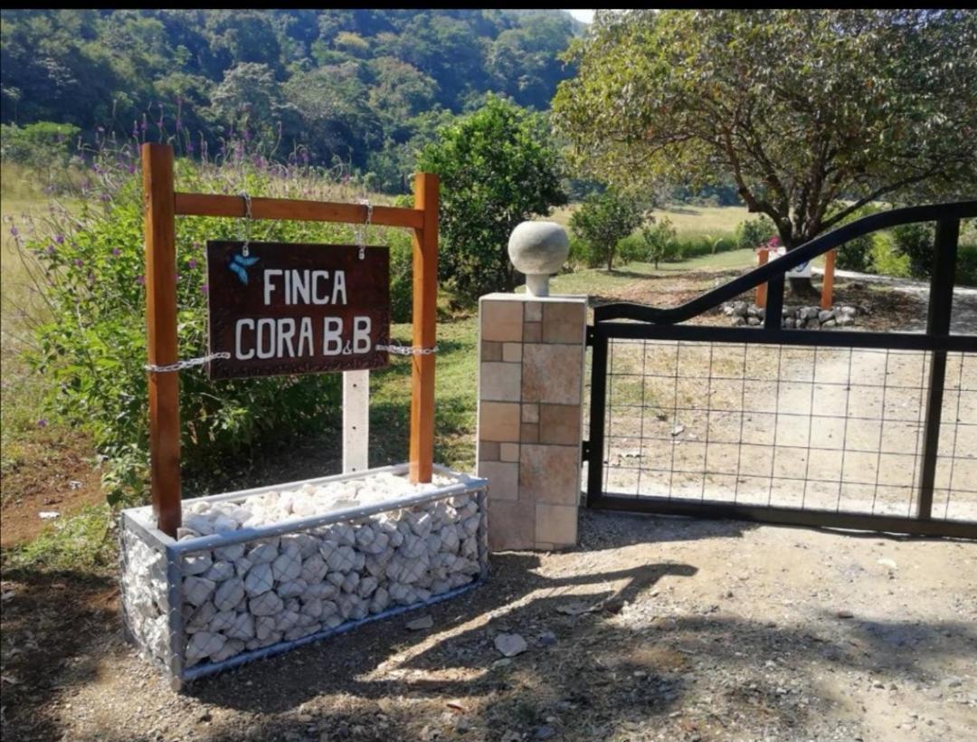 Casa Cora Bed And Breakfast Carmona Экстерьер фото