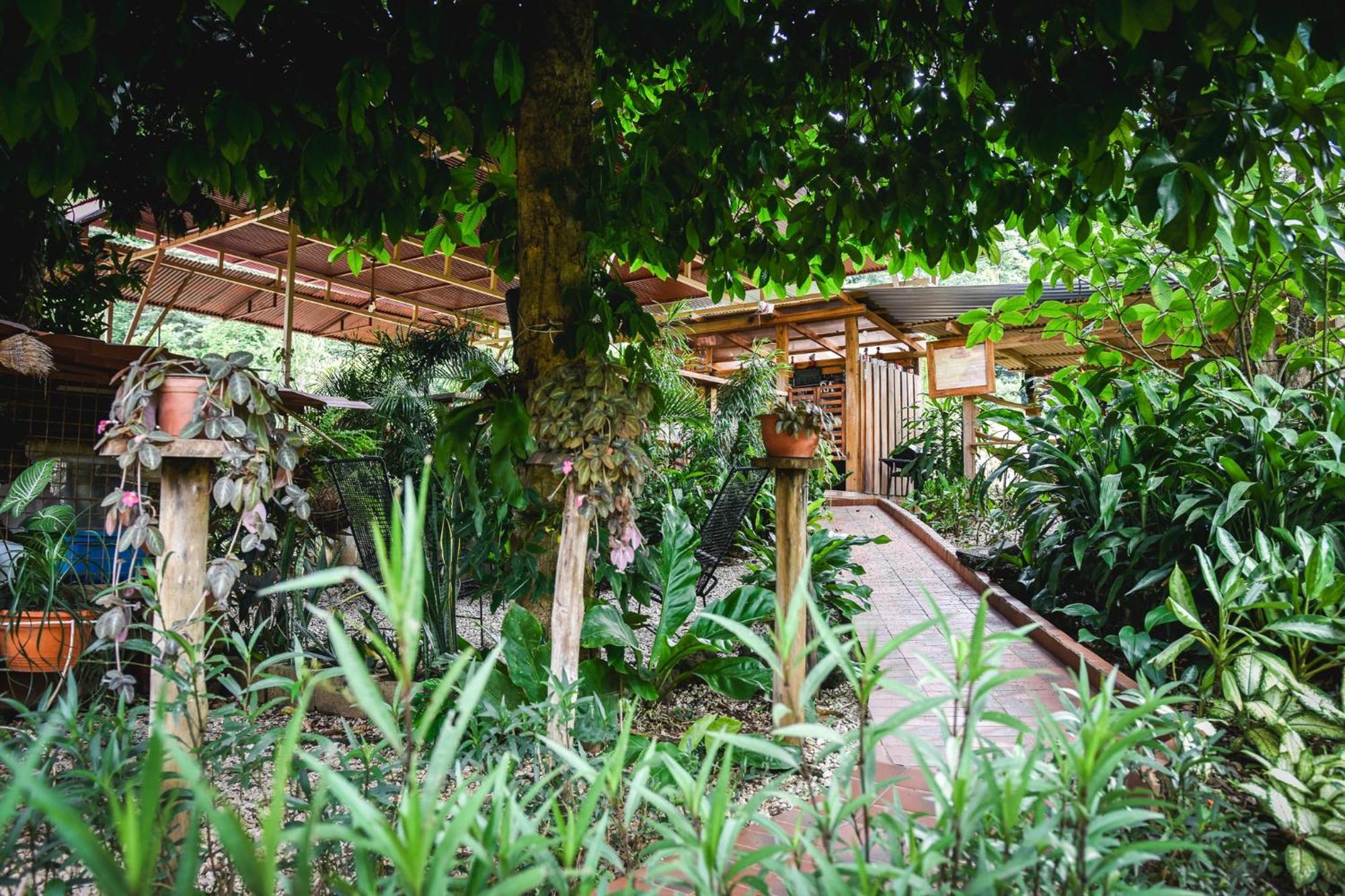 Casa Cora Bed And Breakfast Carmona Экстерьер фото